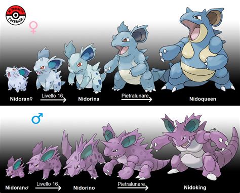 evolution of nidoran