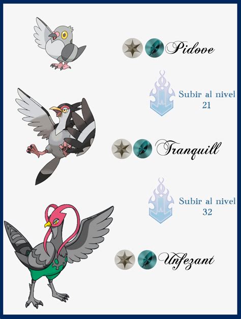 evolution of pidove