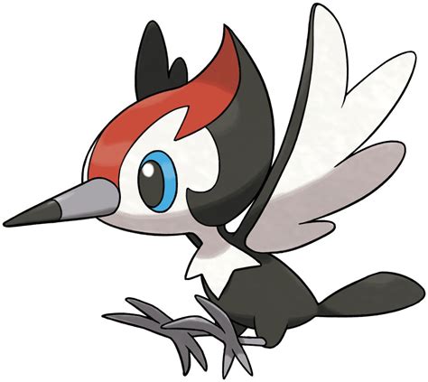 evolution of pikipek