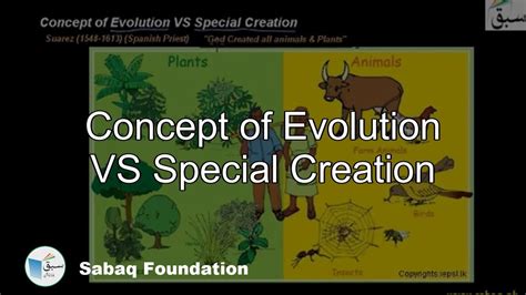 evolution or special creation Doc