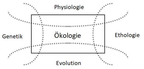 evolution strukturbildung unbelebten natur naturwissenschaften PDF