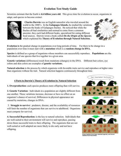 evolution test study guide Epub