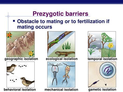 example of a prezygotic barrier