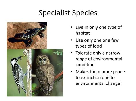 example of a specialist species
