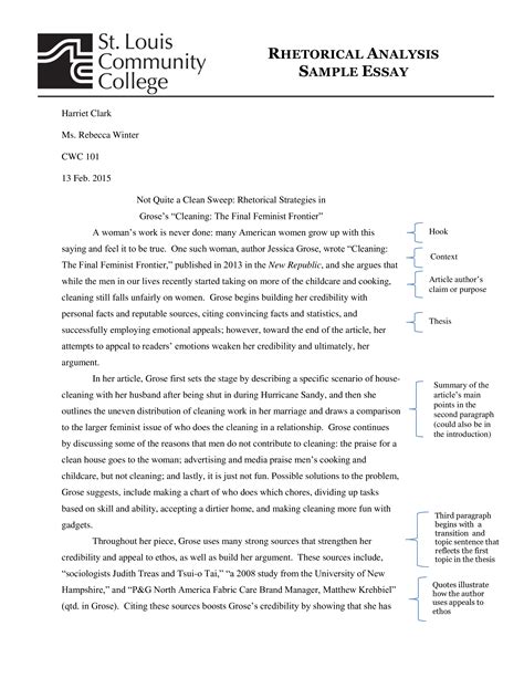 example rhetorical analysis essay