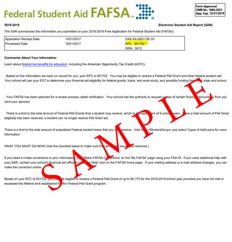 example student aid report