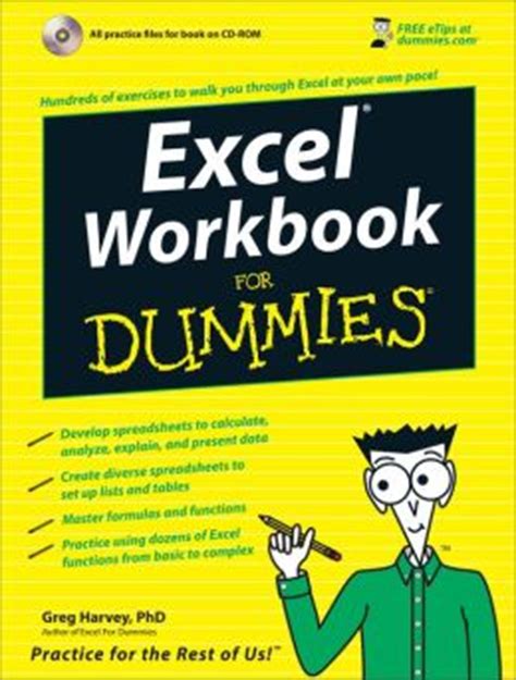 excel workbook for dummies PDF