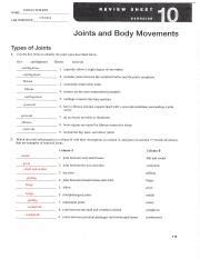 exercise 10 joints and body movements answers PDF