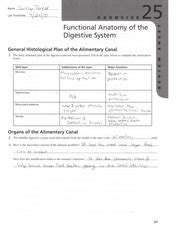 exercise 25 functional anatomy of the digestive system answer key Ebook PDF