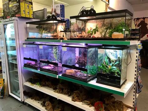 exotic pet shop near me