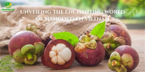 exoticmiaxo: Unraveling the Enchanting World of Exotic Fruits