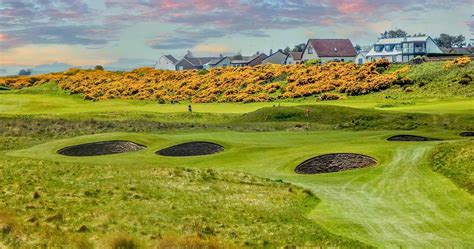 experience royal dornoch Kindle Editon