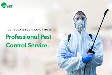 expert pest control services