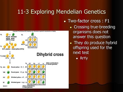 exploring mendelian genetics answers Kindle Editon