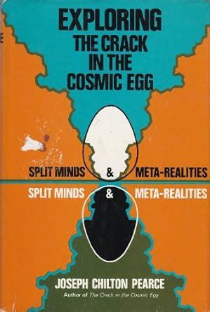 exploring the crack in the cosmic egg split minds and meta realities Kindle Editon