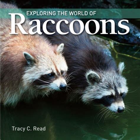 exploring the world of raccoons Doc