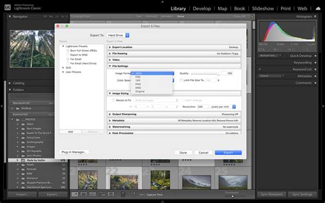 Export Catalog Lightroom Classic