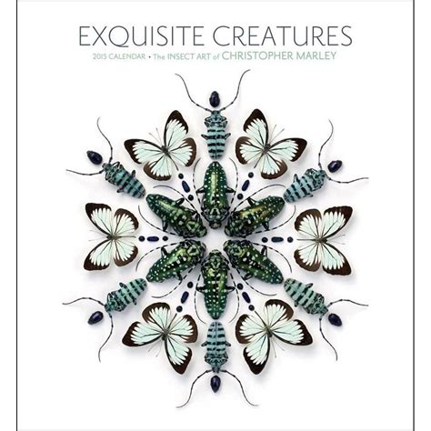 exquisite creatures 2015 calendar the insect art of christopher marley Doc