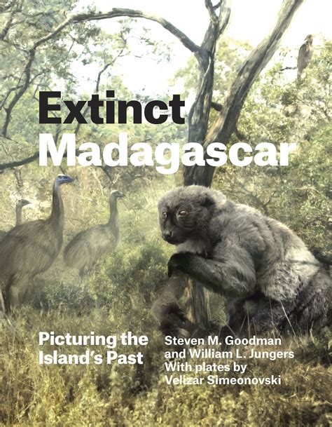 extinct madagascar picturing the islands past PDF