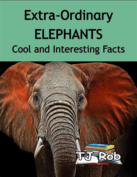 extra ordinary elephants interesting discovering around Doc