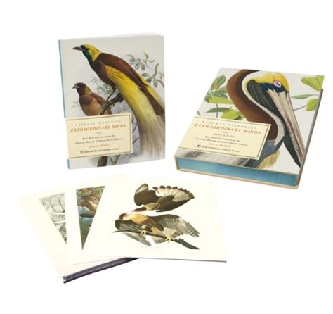 extraordinary birds essays and plates of rare book selections from the american museum of natural history library Reader