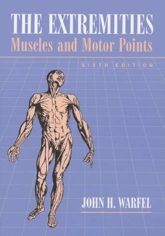 extremities muscles and motor points Epub