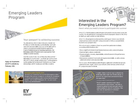 ey emerging leaders program application