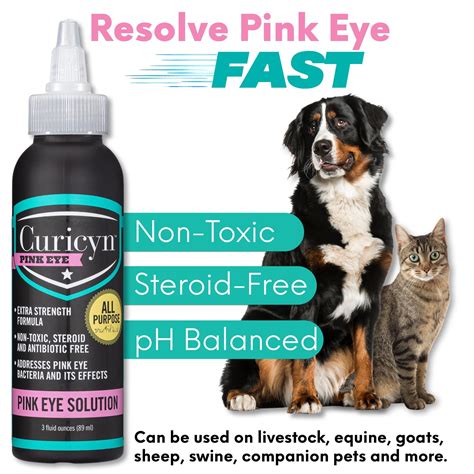 eye drops for dogs conjunctivitis