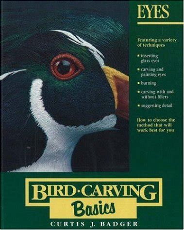 eyes bird carving basics Epub