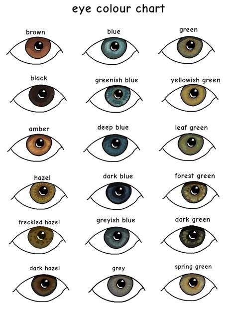 Eyes Color Chart