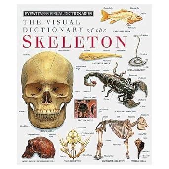 eyewitness visual dictionary of the skeleton Doc