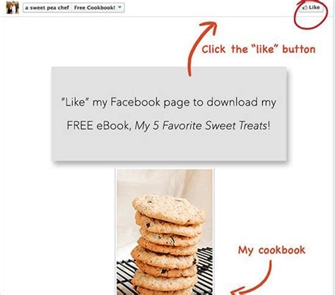 facebook cookbook facebook cookbook Epub
