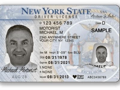 fake driver licence generator