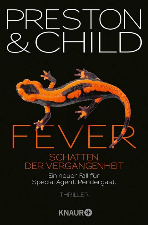 fall ins inferno nachwehen schatten ebook Kindle Editon