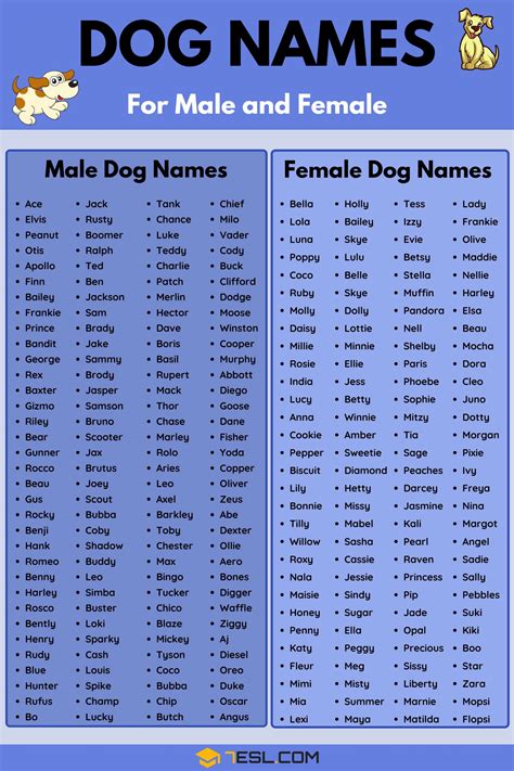 famous dog names