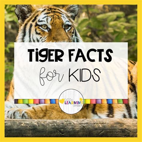 fantastic facts about tigers illustrated fun learning for kids PDF
