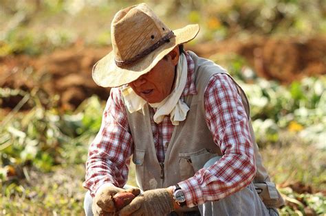 farmer's attire