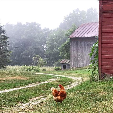 farmlifewithmisty