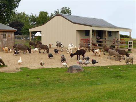 farms for dogs near me