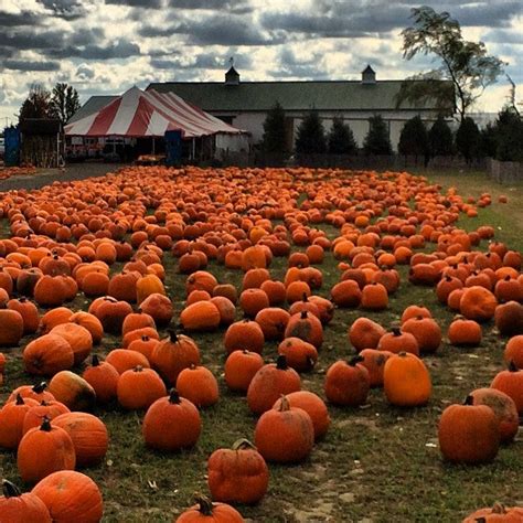 farms in north jersey