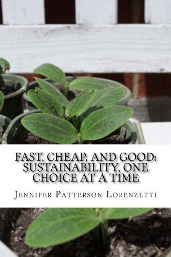 fast cheap and good sustainability one choice at a time Kindle Editon