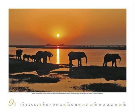faszination afrika wandkalender afrikanischen monatskalender Reader