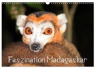 faszination madagaskar wandkalender 2016 quer Reader