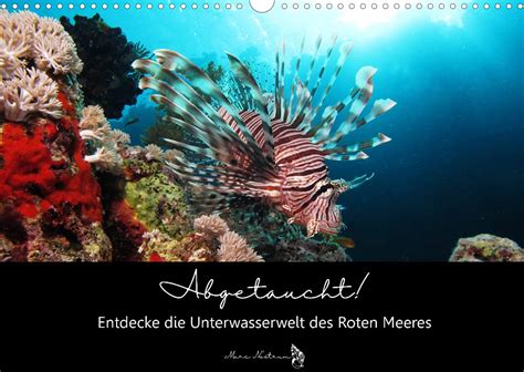 faszination tauchen faszinierenden unterwasserwelt monatskalender Epub