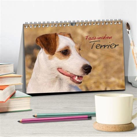 faszination terrier tischkalender 2016 quer PDF