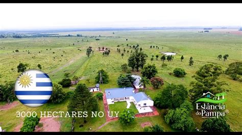 fazenda a venda no uruguai