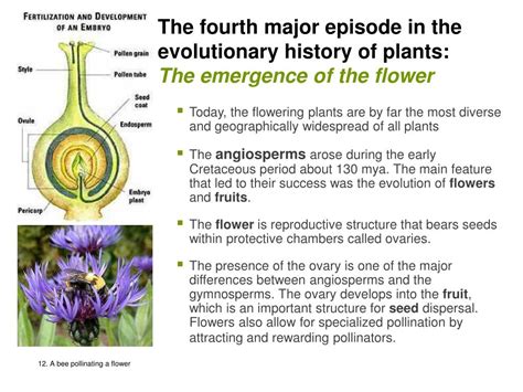 features of evolution in the flowering plants Reader