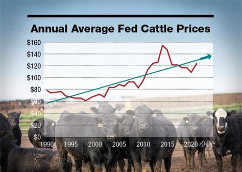 feeder cattle prices today