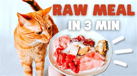 feeding cats a raw diet