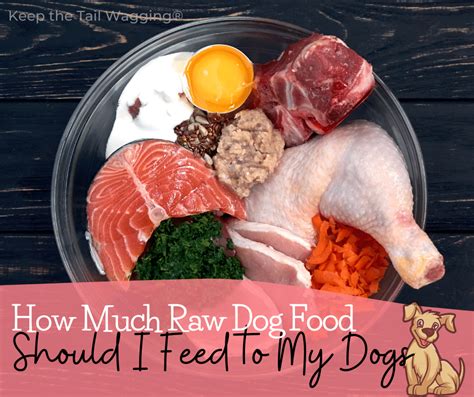 feeding dogs raw chicken